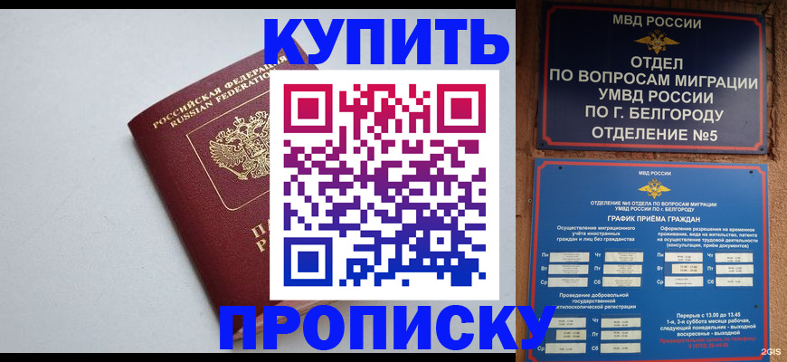 прописка регистрация в Лосино-Петровском